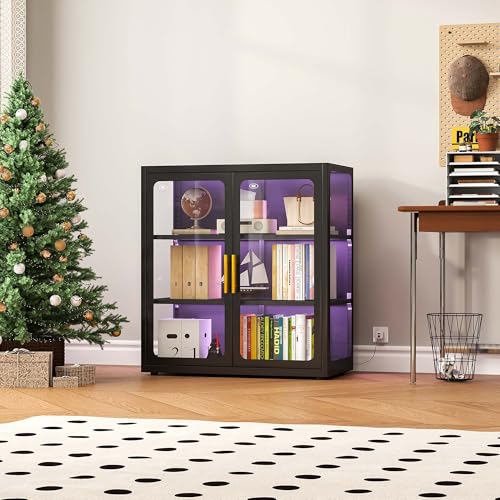 Lighting & Home Decor Studio Photos - ガラス扉とRGBライト付きのコレクション用ディスプレイキャビネット | 34インチのキュリオキャビネット、調節可能な棚2枚付き