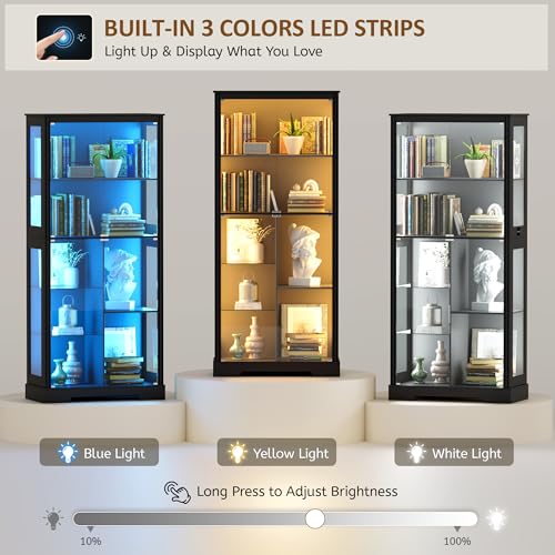 71インチのガラス製ディスプレイキャビネット、コレクション用 - Lighting & Home Decor Studio Photos のレビューと価格